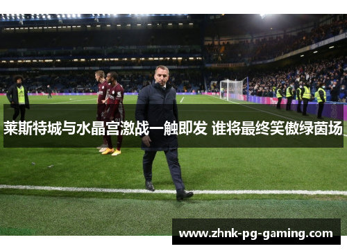 莱斯特城与水晶宫激战一触即发 谁将最终笑傲绿茵场 莱斯特城与水晶宫激战一触即发 谁将最终笑傲绿茵场