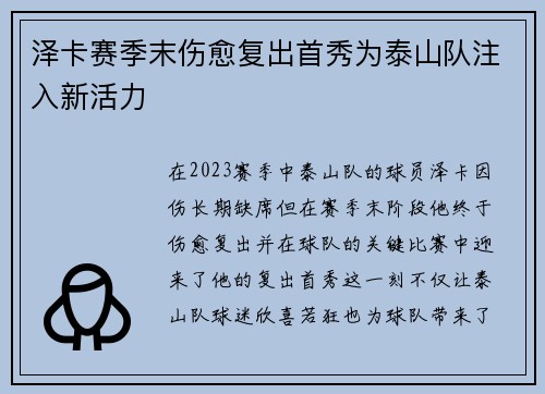 泽卡赛季末伤愈复出首秀为泰山队注入新活力